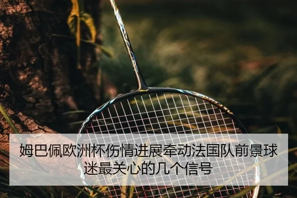 姆巴佩欧洲杯伤情进展牵动法国队前景球迷最关心的几个信号（bet365）